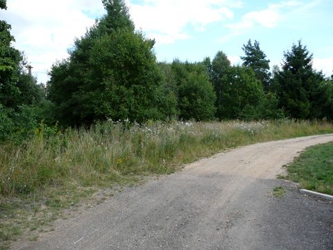 Foto 45